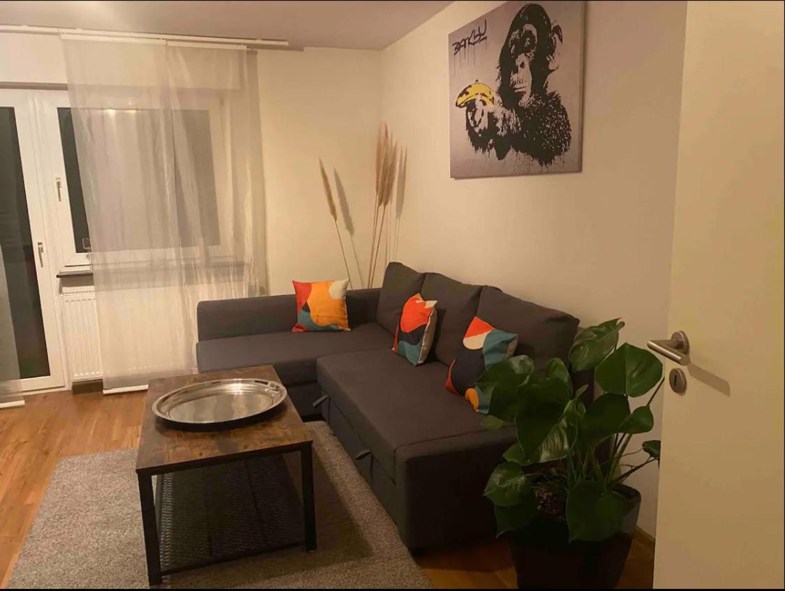 Apartment Roomy Comfort - Zwischen Heidelberg Und Mannheim Edingen-Neckarhausen Esterno foto