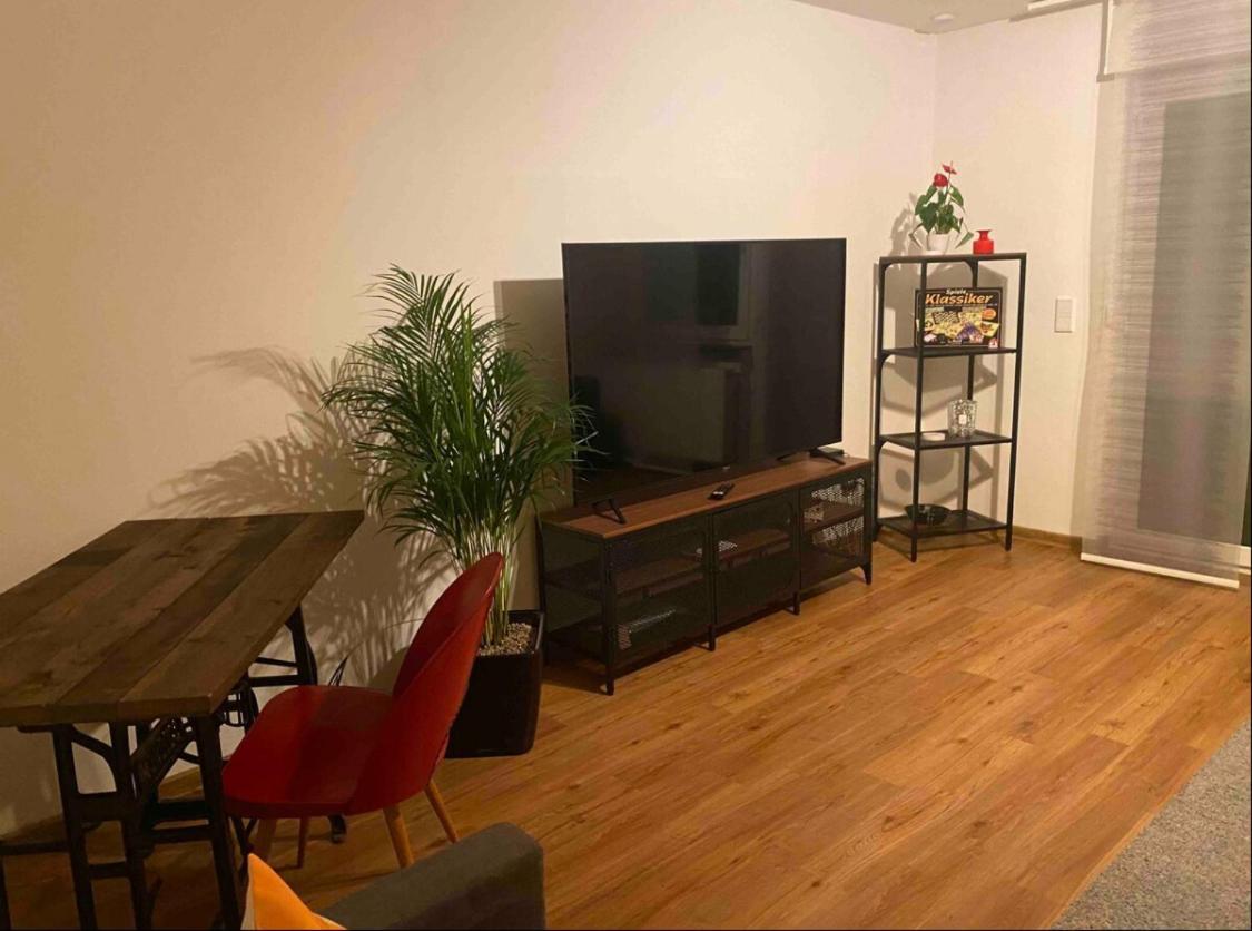 Apartment Roomy Comfort - Zwischen Heidelberg Und Mannheim Edingen-Neckarhausen Esterno foto